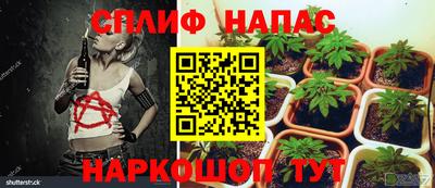 марихуана Жуковский