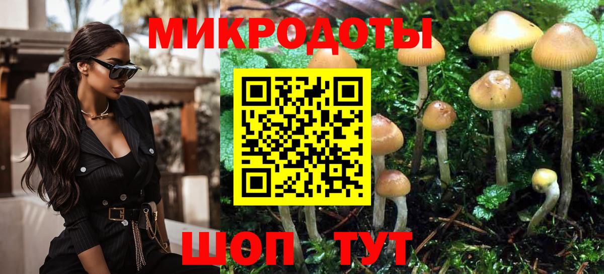 Галлюциногенные грибы Psilocybe  Вход с VPN  Тверь 